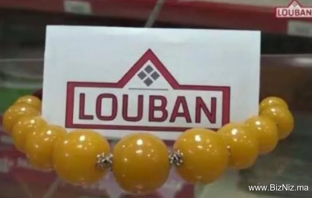 STE LOUBAN SOLUTIONS SARL AU