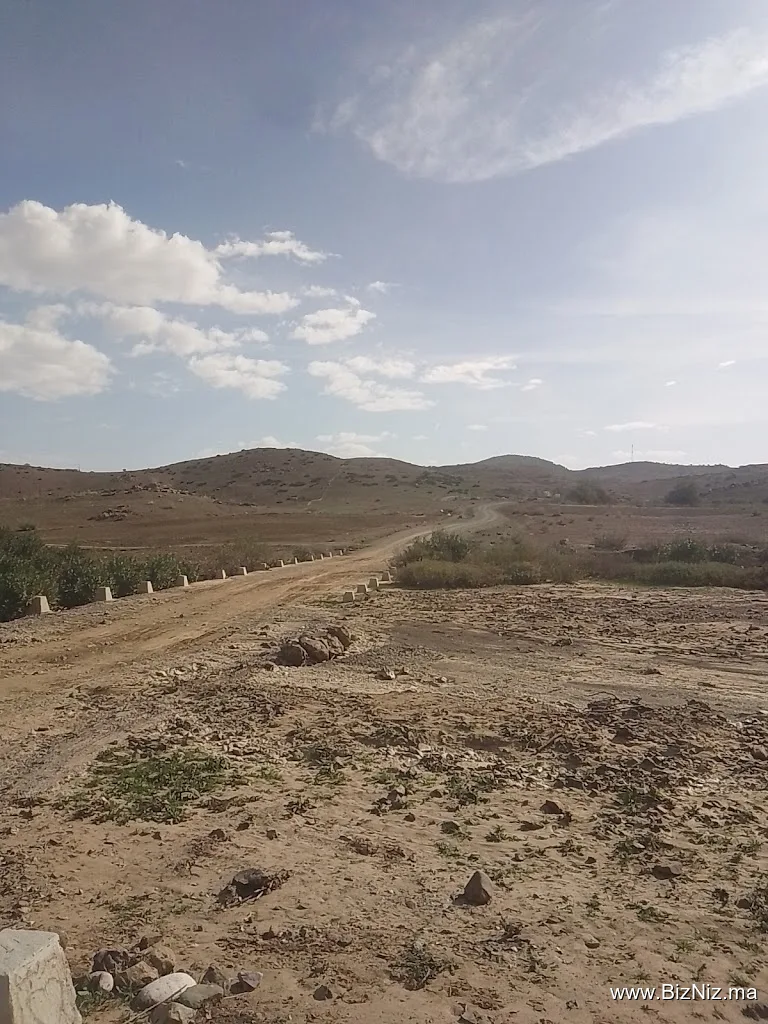 كاف النسور
