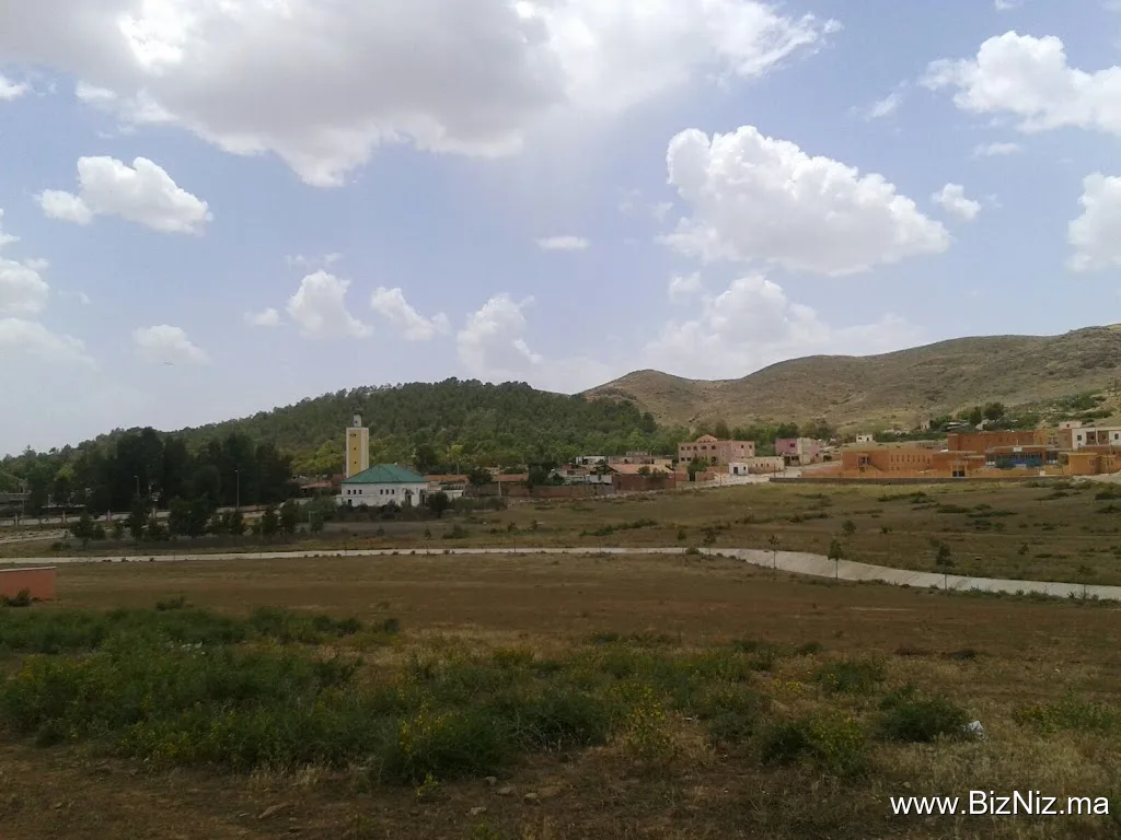 التجارة والطبيعة