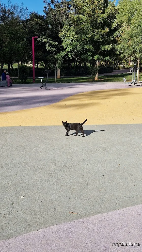 PARC DE JEUX