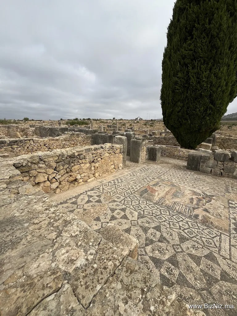 Site Archéologique de Volubilis