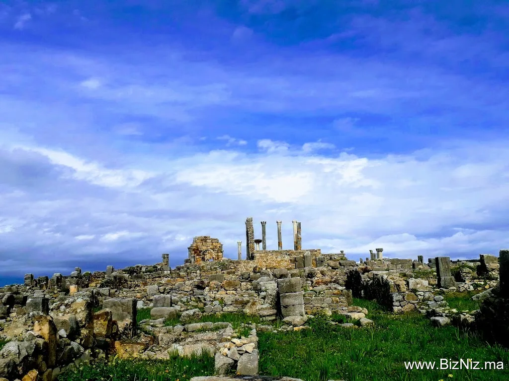 Site Archéologique de Volubilis