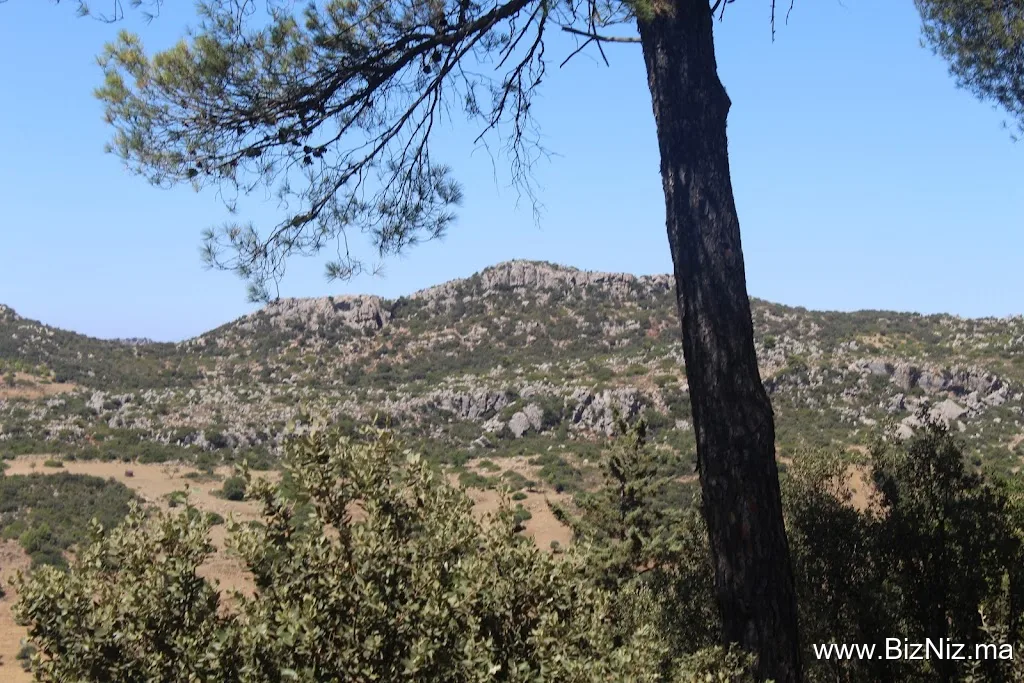 Bab Rmila Natural Park