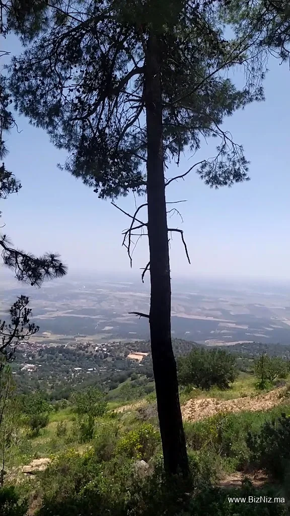 Bab Rmila Natural Park