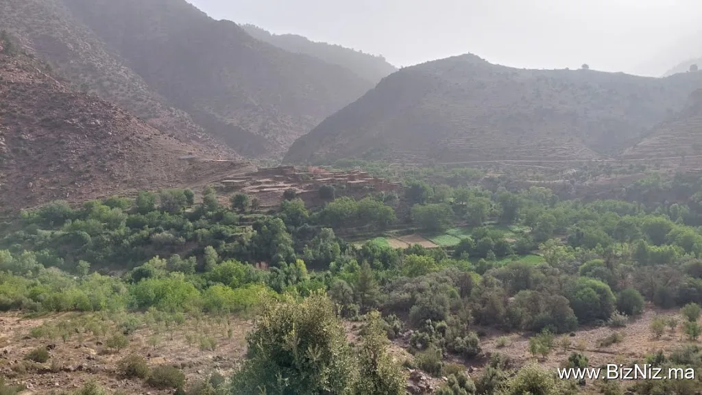 تيغزى