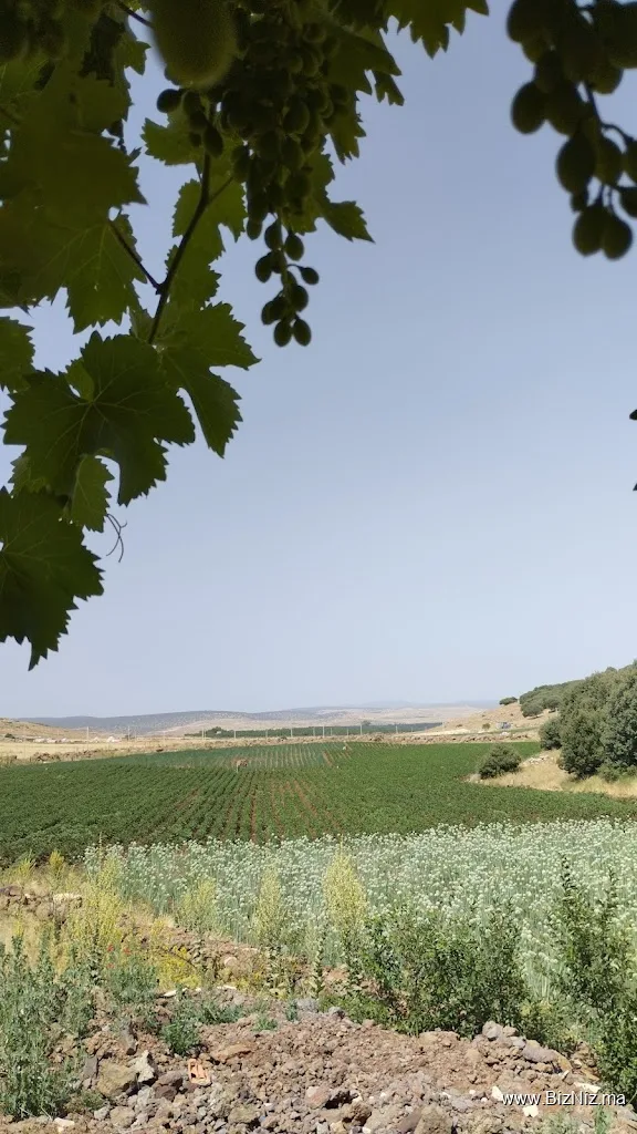 Ferme Abderrahim Lbidaoui