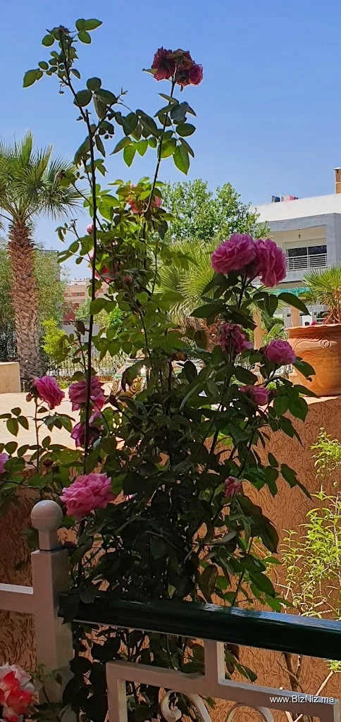 Gardens Riyadh Toulal