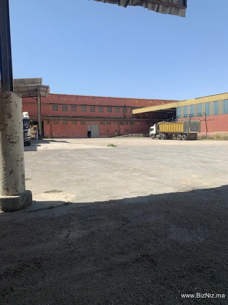 Usine Moulay Messaoud Huile d'Olives de Meknes