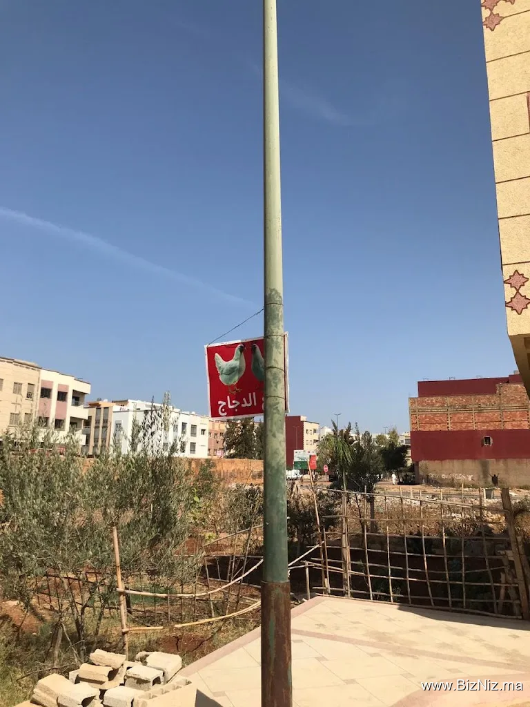 بيع الدجاج