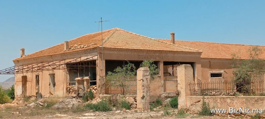 DOMAINE S MARÉ