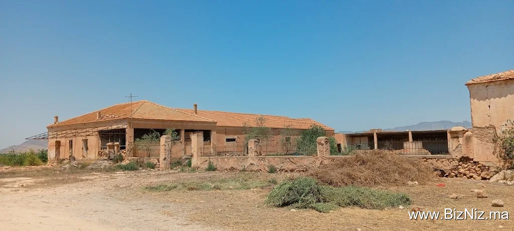 DOMAINE S MARÉ