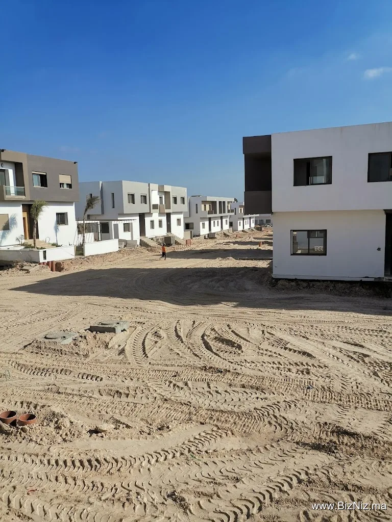 ودادية الصفوة