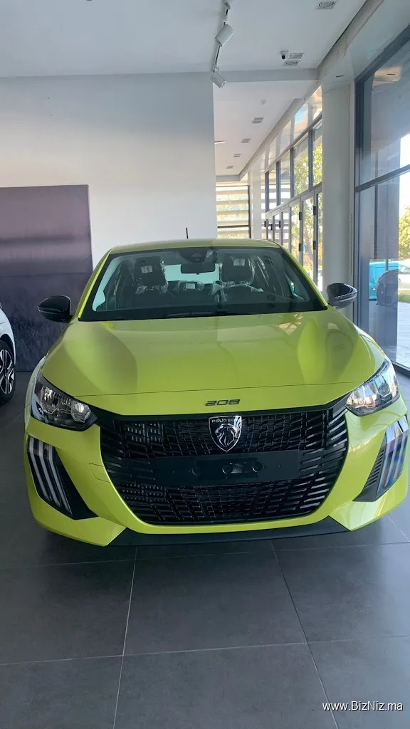 ELASSALI CAR