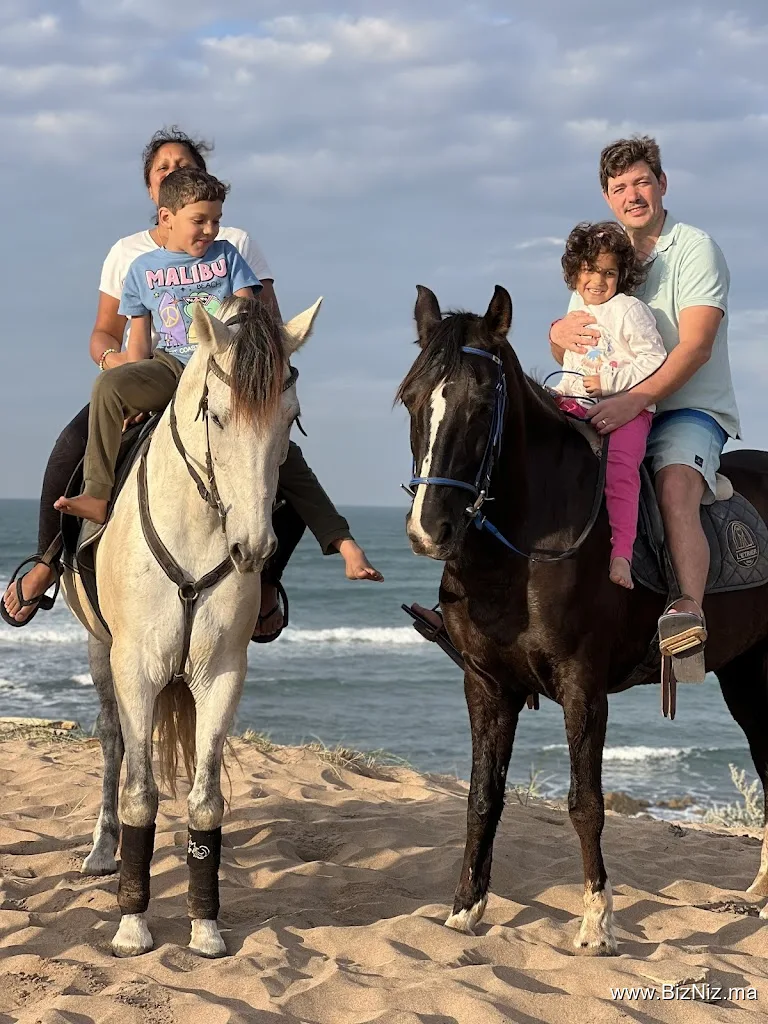 Hamza Reguiai Cheval équitation