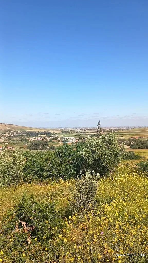 Forêt Mzamza de Settat