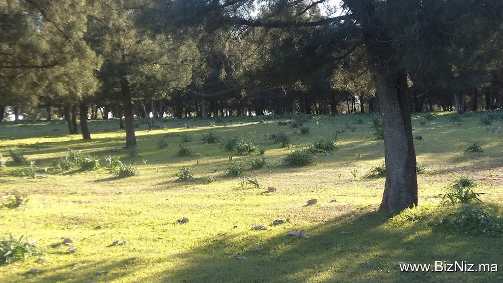 Forêt Mzamza de Settat