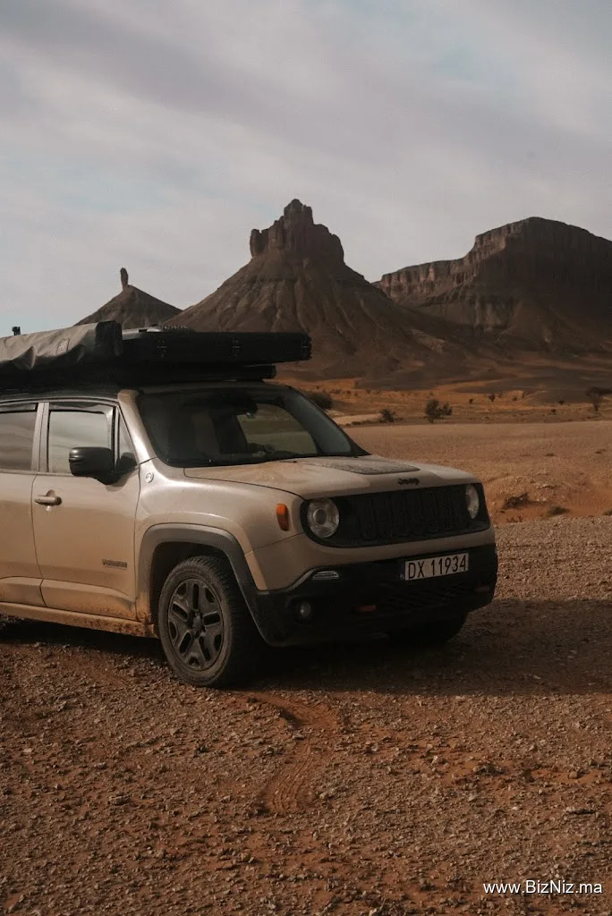 Authentic desert magic experience