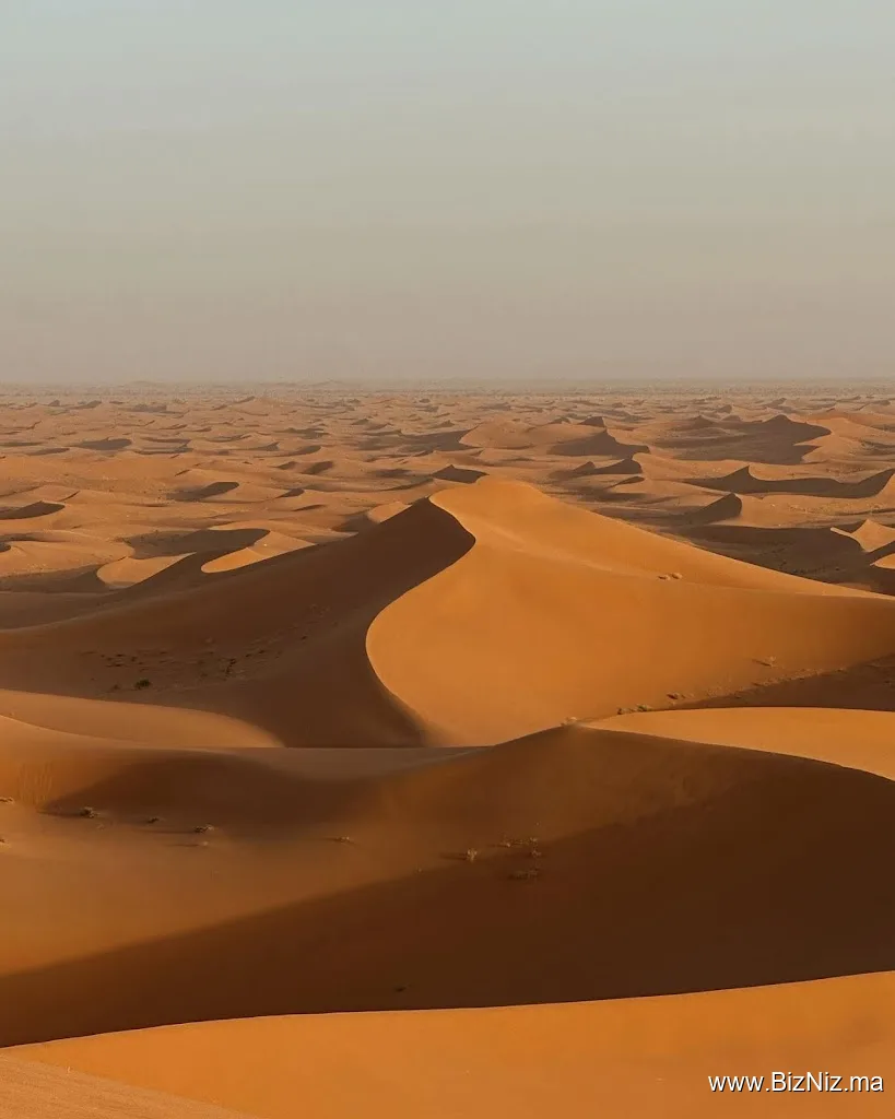 Authentic desert magic experience
