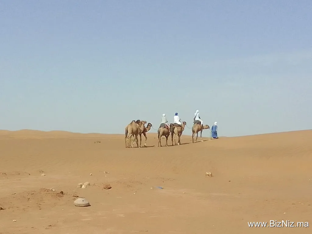 Circuits Desert Foum Zguid