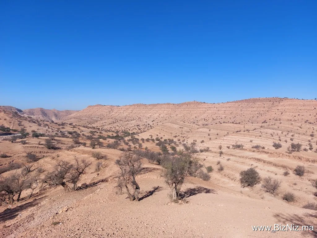 tatabio-طاطا بيو
