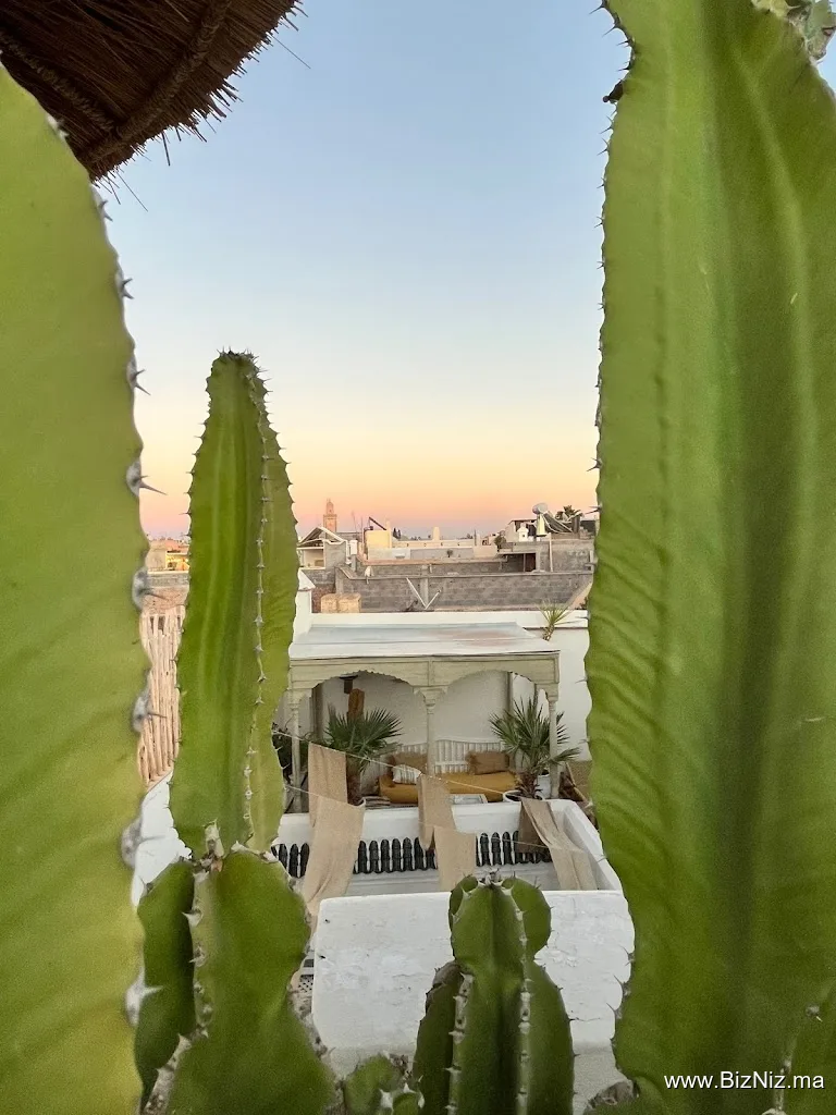 MARRAKECH REALTY