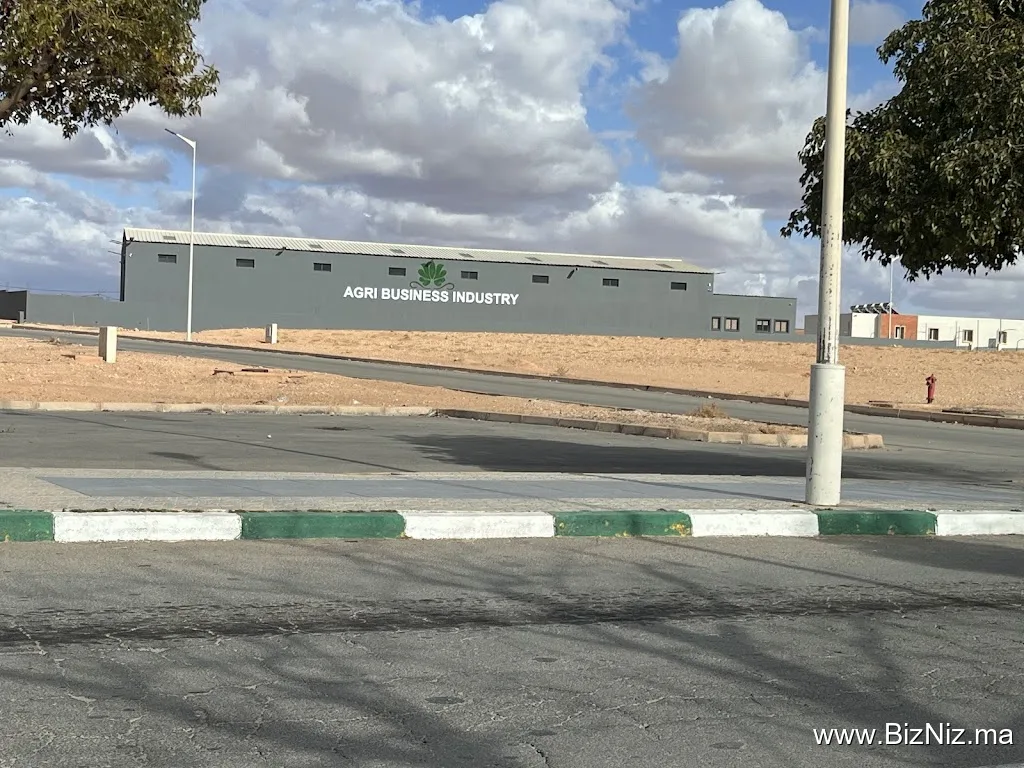 معمل الفول السوداني agri business industriy