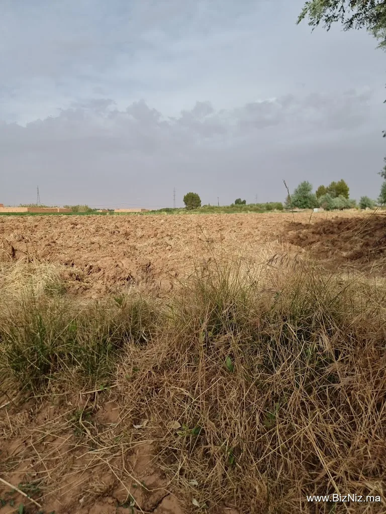 سهب الغار